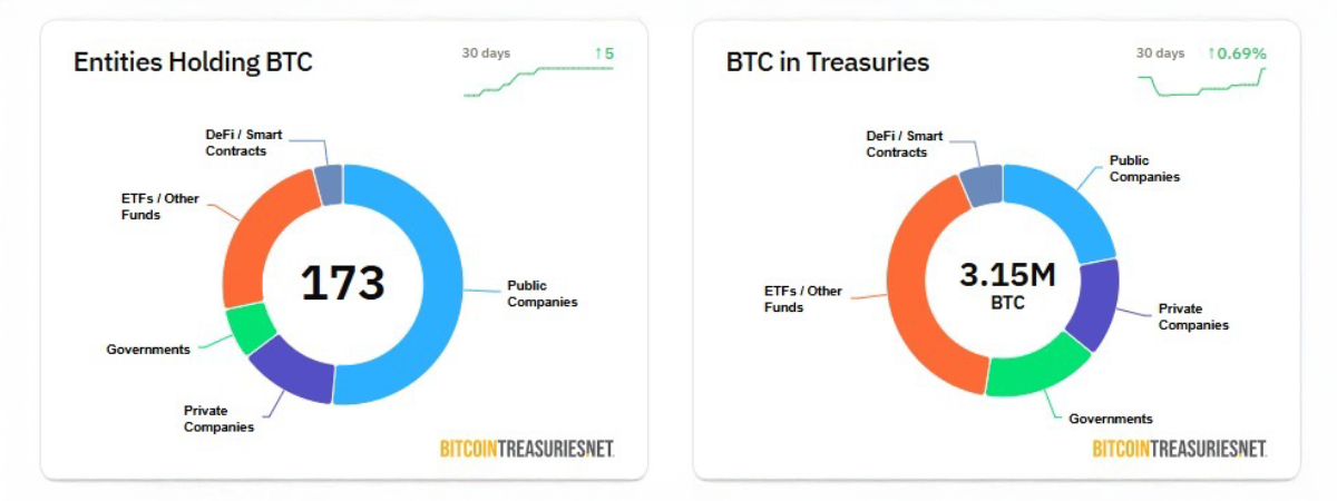 Two donut charts showing 173 entities holding Bitcoin and 3.15 million BTC held in treasuries by public and private companies, governments, ETFs, and DeFi protocols